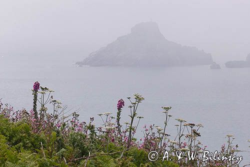 widok z wyspy Herm na Jethou, Channel Islands, Anglia, Wyspy Normandzkie, Kanał La Manche