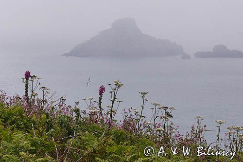 widok z wyspy Herm na Jethou, Channel Islands, Anglia, Wyspy Normandzkie, Kanał La Manche