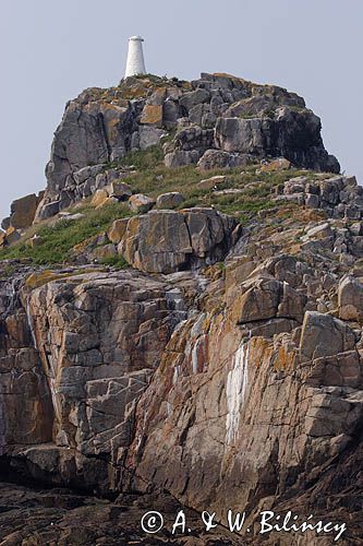 u wybrzeży wyspy Herm, Channel Islands, Anglia, Wyspy Normandzkie, Kanał La Manche