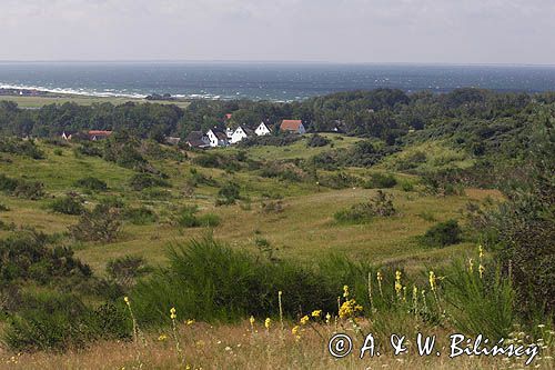 na wyspie Hiddensee, Mecklenburg-Vorpommern, Niemcy