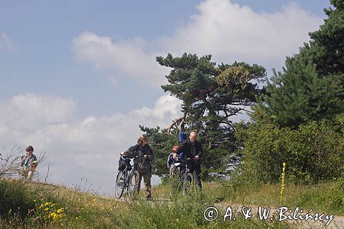 na szlaku na wyspie Hiddensee, Mecklenburg-Vorpommern, Niemcy