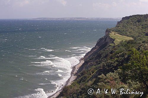 klif, wyspa Hiddensee, w głębi wyspa Rugia, Mecklenburg-Vorpommern, Bałtyk, Niemcy