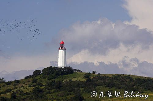 latarnia morska na północnym krańcu wyspy Hiddensee, Mecklenburg-Vorpommern, Niemcy, stado szpaków