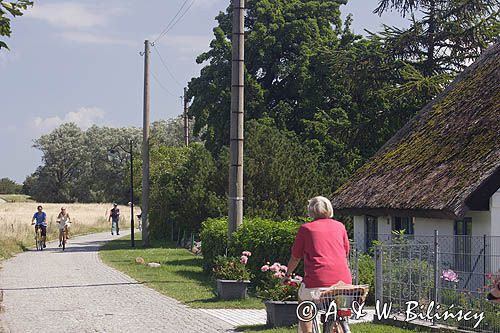 ścieżka rowerowa, wyspa Hiddensee, Mecklenburg-Vorpommern, Bałtyk, Niemcy