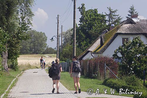 ścieżka rowerowa i turyści piesi, wyspa Hiddensee, Mecklenburg-Vorpommern, Bałtyk, Niemcy