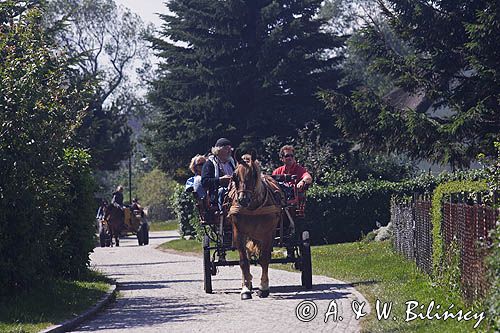 bryczka, wyspa Hiddensee, Mecklenburg-Vorpommern, Bałtyk, Niemcy