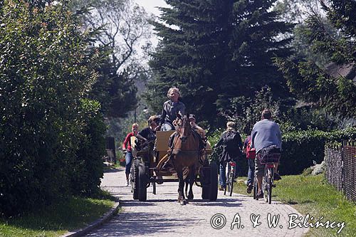 bryczka, wyspa Hiddensee, Mecklenburg-Vorpommern, Bałtyk, Niemcy