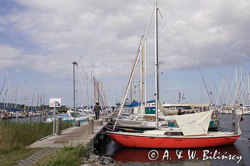 port jachtowy w Vitte na wyspie Hiddensee, Mecklenburg-Vorpommern, Niemcy