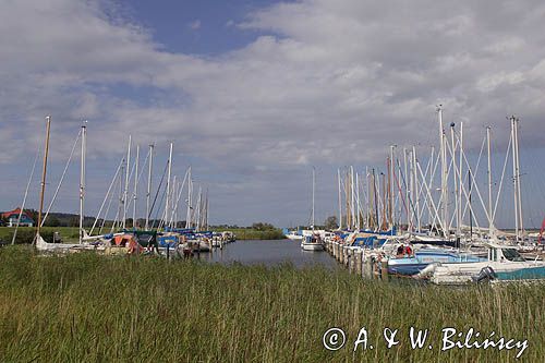 port jachtowy w Vitte na wyspie Hiddensee, Mecklenburg-Vorpommern, Niemcy