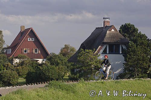 ścieżka rowerowa w Vitte, wyspa Hiddensee, Mecklenburg-Vorpommern, Bałtyk, Niemcy