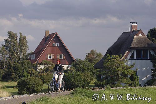 ścieżka rowerowa w Vitte, wyspa Hiddensee, Mecklenburg-Vorpommern, Bałtyk, Niemcy