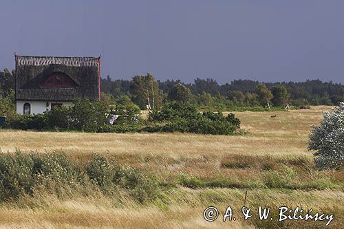 wyspa Hiddensee, Mecklenburg-Vorpommern, Bałtyk, Niemcy