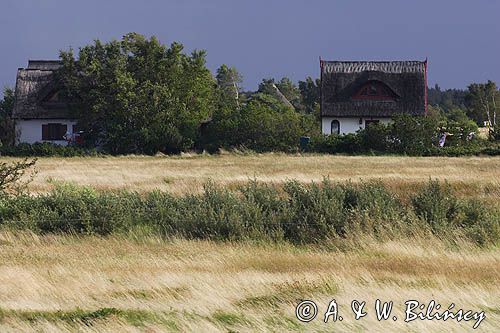 wyspa Hiddensee, Mecklenburg-Vorpommern, Bałtyk, Niemcy