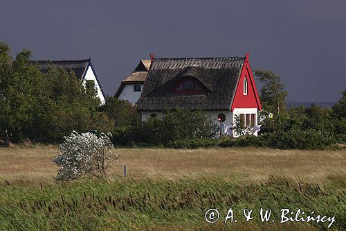 domy na skraju Vitte, wyspa Hiddensee, Mecklenburg-Vorpommern, Bałtyk, Niemcy