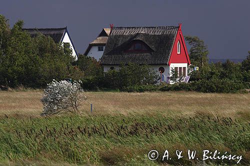 domy na skraju Vitte, wyspa Hiddensee, Mecklenburg-Vorpommern, Bałtyk, Niemcy