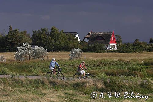 ścieżka rowerowa, Vitte, wyspa Hiddensee, Mecklenburg-Vorpommern, Bałtyk, Niemcy