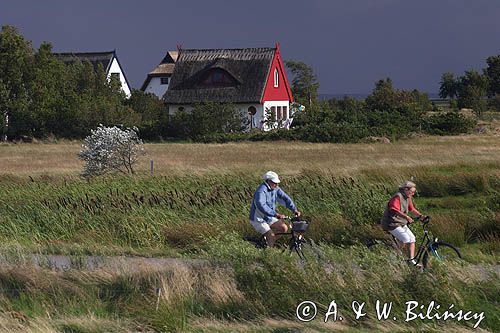 ścieżka rowerowa, Vitte, wyspa Hiddensee, Mecklenburg-Vorpommern, Bałtyk, Niemcy