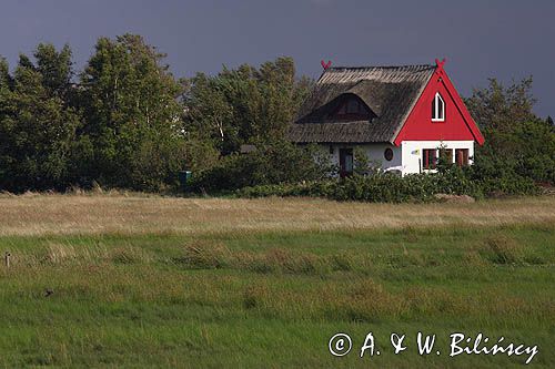 domy na skraju Vitte, wyspa Hiddensee, Mecklenburg-Vorpommern, Bałtyk, Niemcy