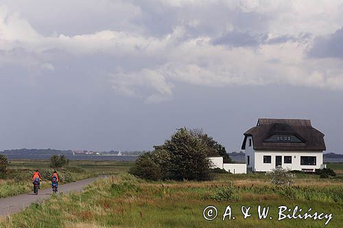 ścieżka rowerowa, wyspa Hiddensee, Mecklenburg-Vorpommern, Bałtyk, Niemcy