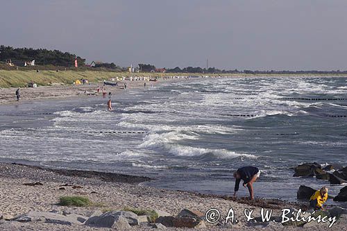 na plaży, wyspa Hiddensee, Mecklenburg-Vorpommern, Bałtyk, Niemcy