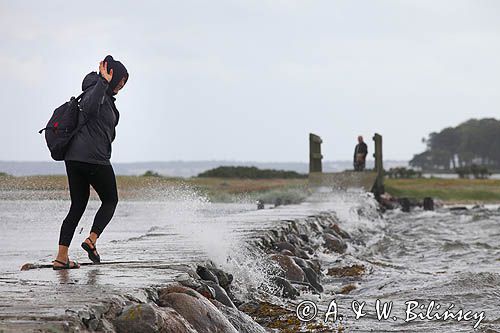 na grobli, Wyspa Hjarno, Dania, Kattegat