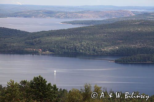 panorama Hoga Kusten z Parku Narodowego Skuleskogen, Szwecja, Zatoka Botnicka, Hoga Kusten, Wysokie Wybrzeże