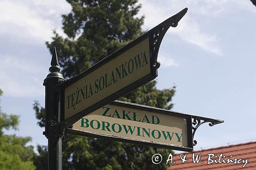 Inowrocław, drogowskaz, zakład borowinowy