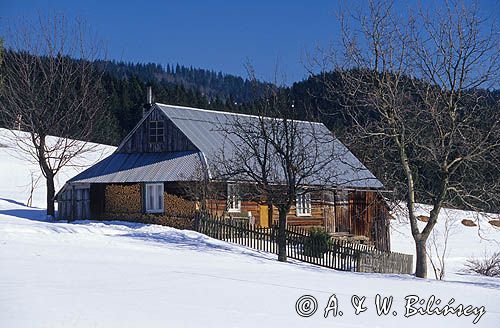 Łączyna koło Istebnej, Beskid Śląski