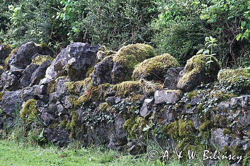 kamienny murek w Jamestown nad rzeką Shannon, rejon Górnej Shannon, Irlandia