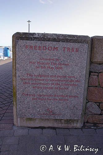 tablica przy Drzewie Wolności - Freedom Tree w St. Helier, wyspa Jersey, Channel Islands, Wyspy Normandzkie