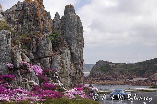 skały na La Corbiere Point, wyspa Jersey, Channel Islands, Anglia, Wyspy Normandzkie, Kanał La Manche