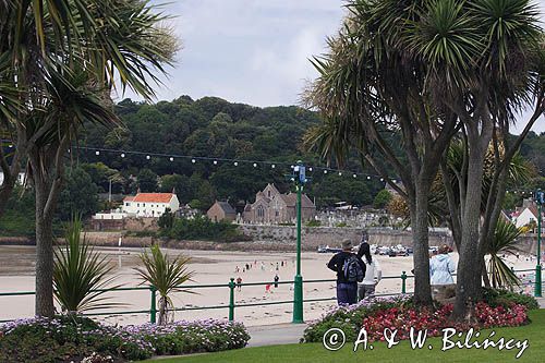 St. Brelade's, wyspa Jersey, Channel Islands, Anglia, Wyspy Normandzkie, Kanał La Manche, palma sabalowa