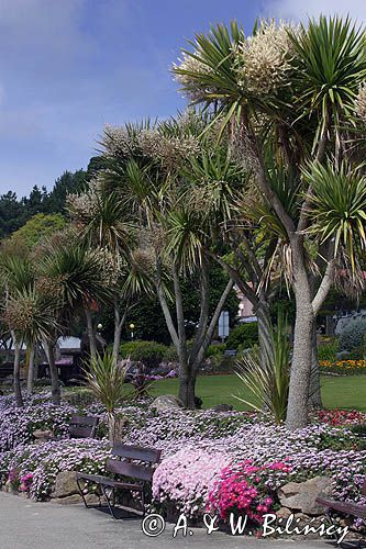 St. Brelade's, wyspa Jersey, Channel Islands, Anglia, Wyspy Normandzkie, Kanał La Manche