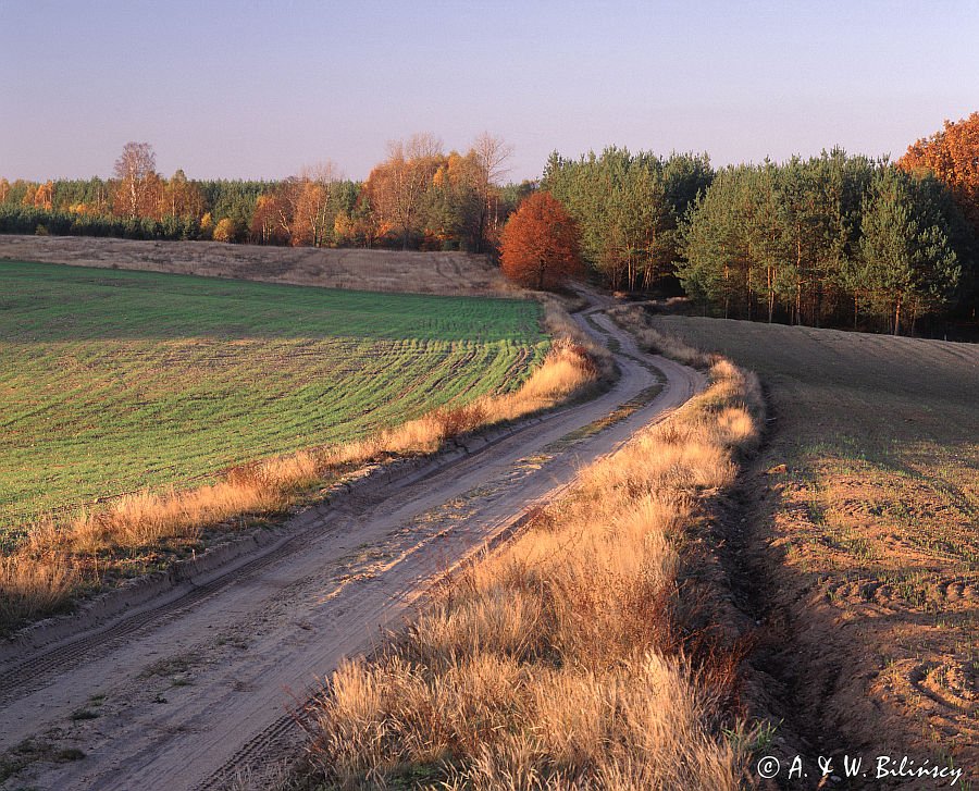 jesienna droga, wieś Luboń, Ziemia Bytowska