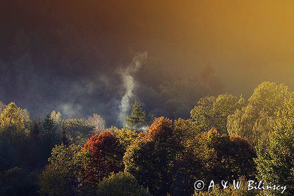 Jesień w Dolinie żłobka, Bieszczady, Góry Sanocko Turczańskie