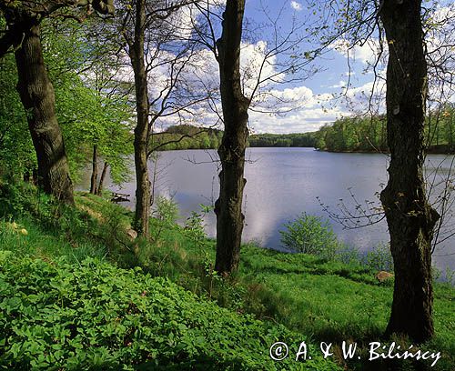 jezioro Dłusko Iński Park Krajobrazowy