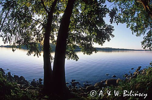jezioro Hańcza - Suwalski Park Krajobrazowy