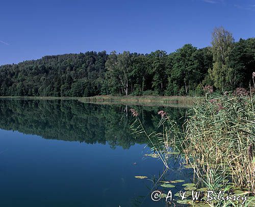 jezioro Jaczno na Suwalszczyźnie, Suwalski Park Krajobrazowy