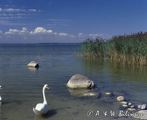 jezioro Śniardwy