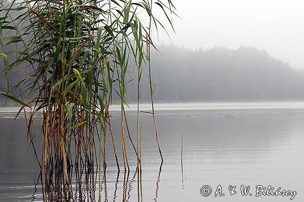 Jezioro Tejsowo, Mazury