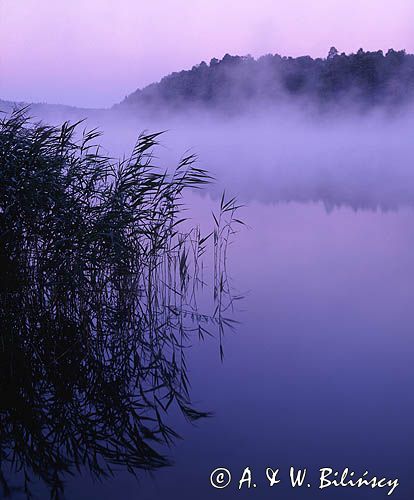 jezioro Łagowskie, Łagowski Park Krajobrazowy