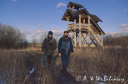 Jezioro Łuknajno, rezerwat przyrody, wieża widokowa, Mazury