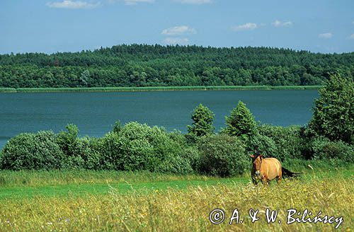 jezioro Małszewskie, Mazury