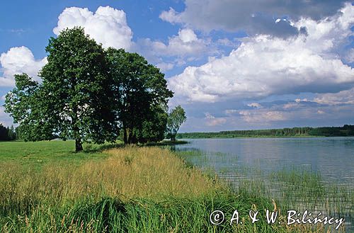 jezioro Wdzydze, Wdzydzki Park Krajobrazowy