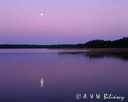 księżycowa noc nad jeziorem Wełtyńskim, Pobrzeże Szczecińskie, Równina Wełtyńska, Pomorze Zachodnie