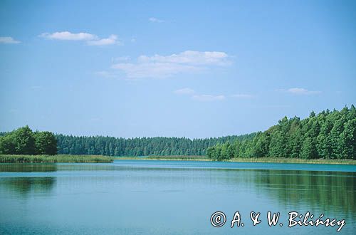 Jezioro Wigry, Wigierski Park Narodowy, Polska