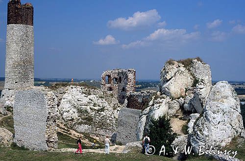 Jura Krakowsko-Częstochowska Park Krajobrazowy Orlich Gniazd ruiny zamku Olsztyn
