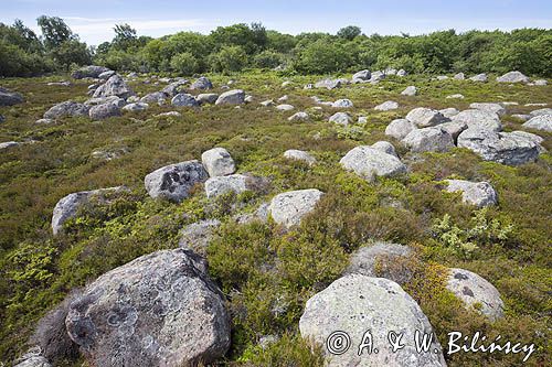 Kręgi kamienne, wyspa Jurmo, szkiery Turku, Finlandia Jurmo Island, Finland