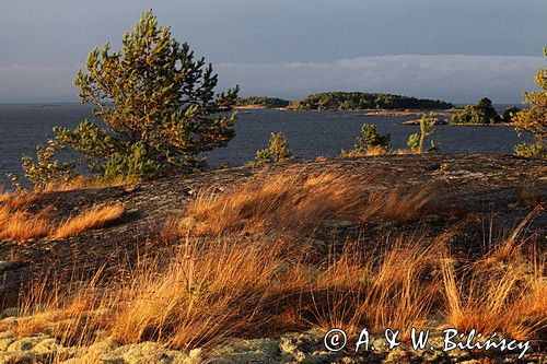 wyspa Kallhamn, Szwecja