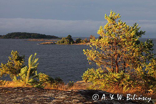 wyspa Kallhamn, Szwecja